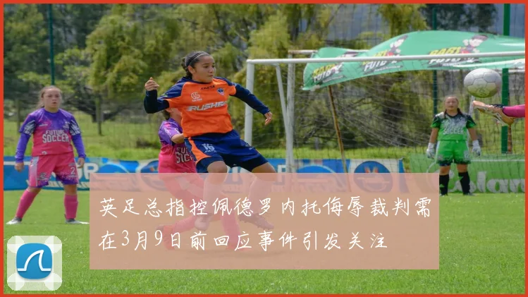 英足总指控佩德罗内托侮辱裁判需在3月9日前回应事件引发关注
