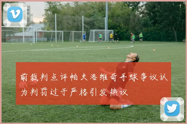 前裁判点评帕夫洛维奇手球争议认为判罚过于严格引发热议
