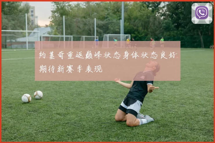 约基奇重返巅峰状态身体状态良好期待新赛季表现