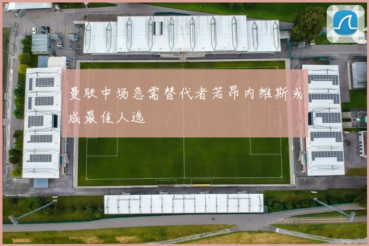 曼联中场急需替代者若昂内维斯或成最佳人选
